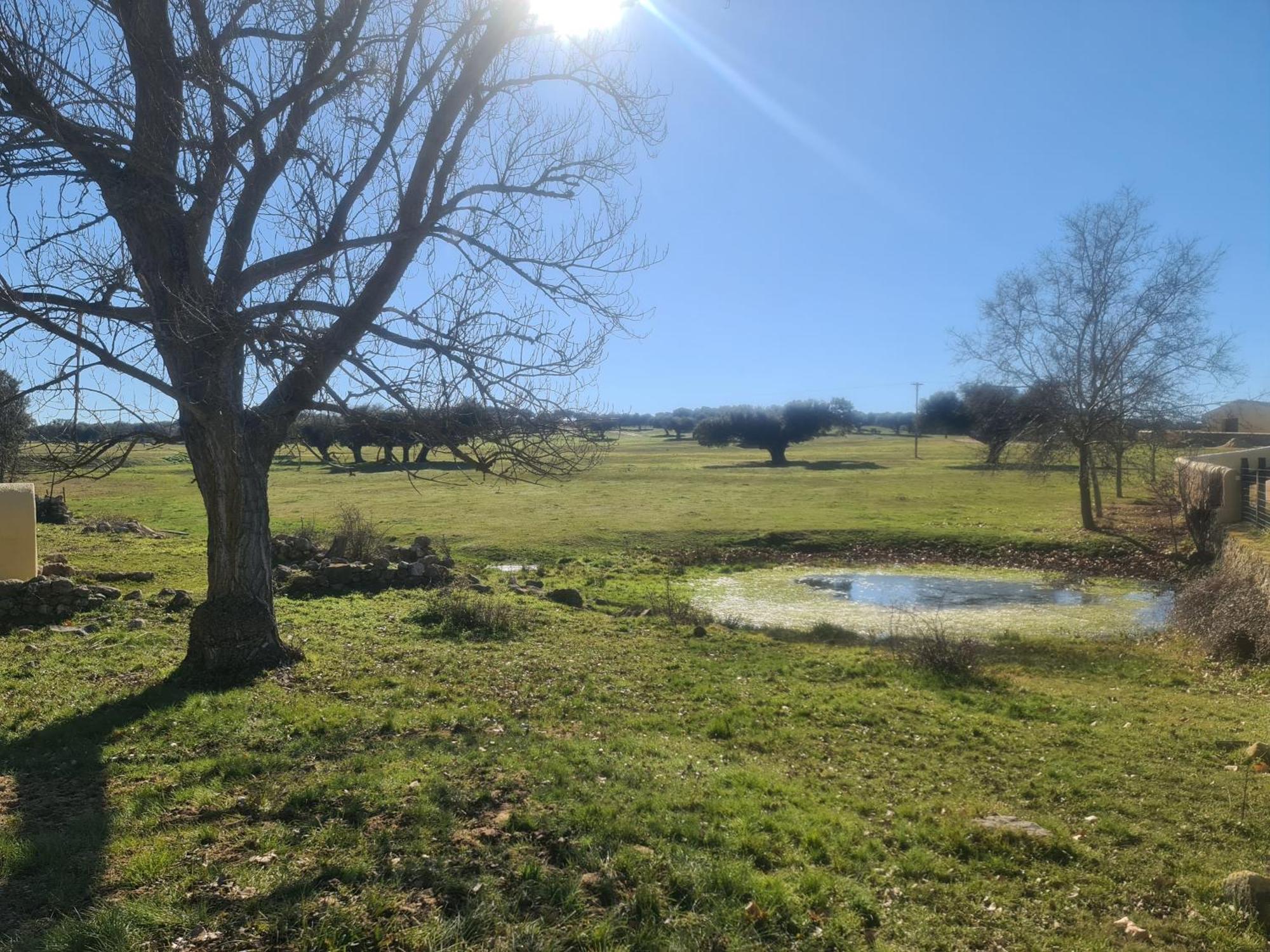 Casa Rural Palacio Conde De Aldana Con Piscina Entre Encinares Y Dehesas Terradillos ภายนอก รูปภาพ